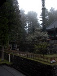 p1000263.jpg