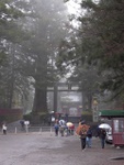 p1000264.jpg