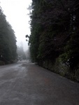 p1000265.jpg