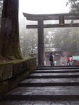 p1000267.jpg