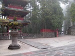 p1000270.jpg