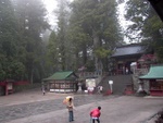 p1000271.jpg