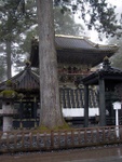 p1000281.jpg