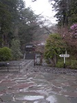 p1000304.jpg