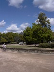 p1000325.jpg