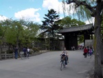 p1000329.jpg