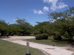 p1000337.jpg