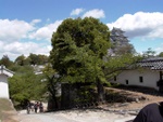 p1000338.jpg
