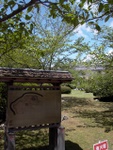 p1000339.jpg