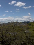 p1000341.jpg