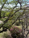 p1000347.jpg