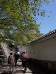 p1000350.jpg