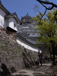 p1000351.jpg