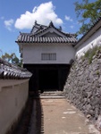 p1000352.jpg