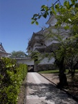 p1000353.jpg
