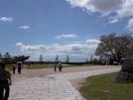 p1000359.jpg