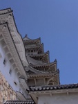 p1000362.jpg