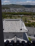 p1000366.jpg