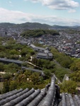 p1000369.jpg