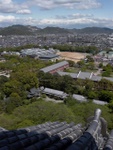 p1000373.jpg
