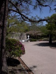 p1000383.jpg