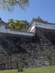 p1000384.jpg