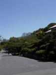 p1000385.jpg