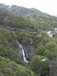 p1000393.jpg