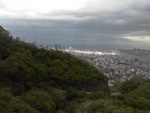 p1000394.jpg