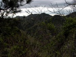 p1000405.jpg