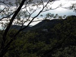 p1000406.jpg