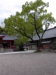 p1000425.jpg