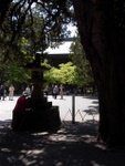 p1000523.jpg