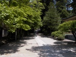 p1000525.jpg