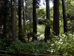p1000527.jpg