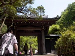 p1000544.jpg