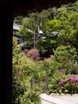 p1000545.jpg