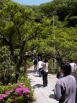 p1000546.jpg