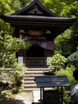 p1000550.jpg