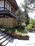 p1000561.jpg