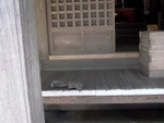 p1000569.jpg