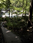 p1000580.jpg