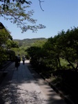 p1000598.jpg