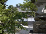 p1000630.jpg