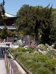 p1000635.jpg