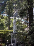 p1000644.jpg