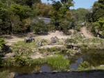 p1000647.jpg