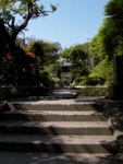 p1000650.jpg