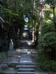 p1000651.jpg