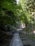 p1000656.jpg